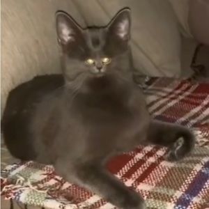 Meet your Posher, ..